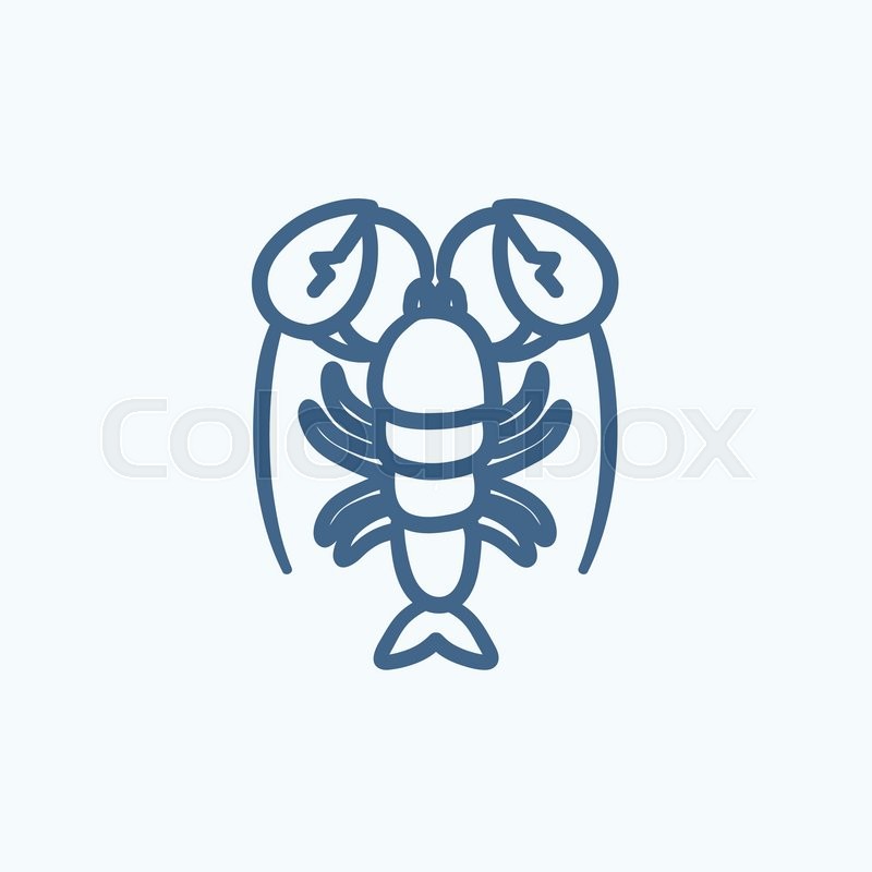 800x800 Lobster Vector Sketch Icon Isolated On Background. Hand Drawn - Crayfish Sketch
