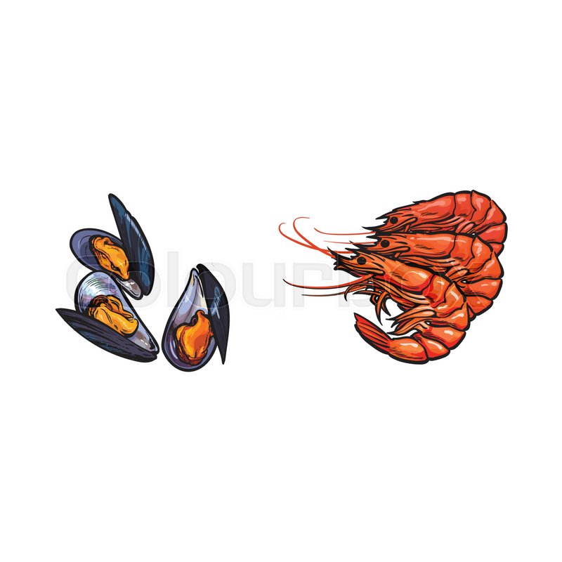 800x800 Vector Sketch Cartoon Sea Crayfish Lobster, Mussels Set. Isolated - Crayfish Sketch