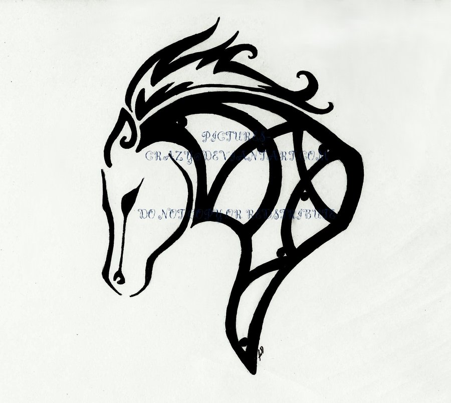 900x804 Horse Celtic Tattoo By Pictures Crazy - Crazy Horse Sketch