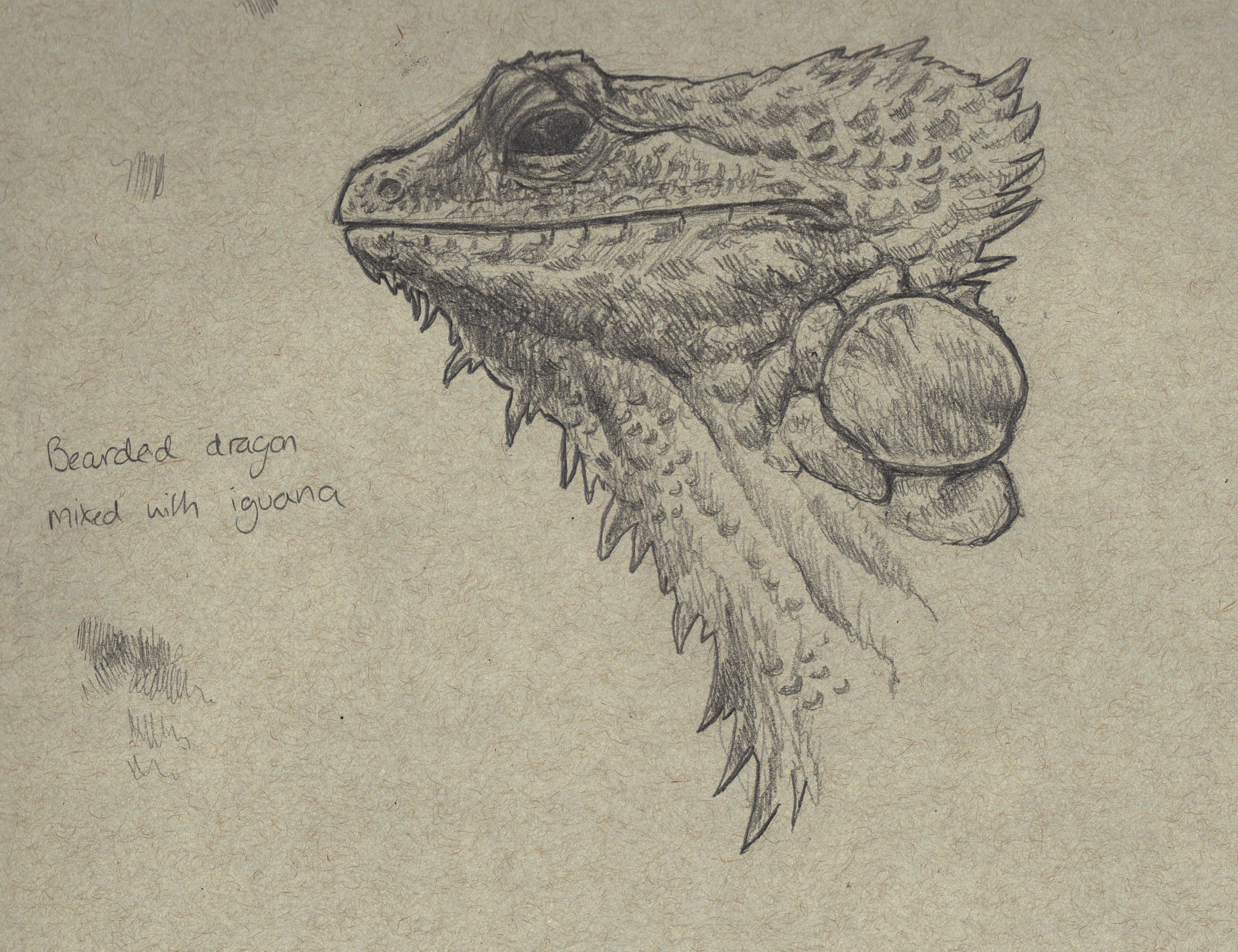 1920x1476 Samuel Horsley - Creature Sketches