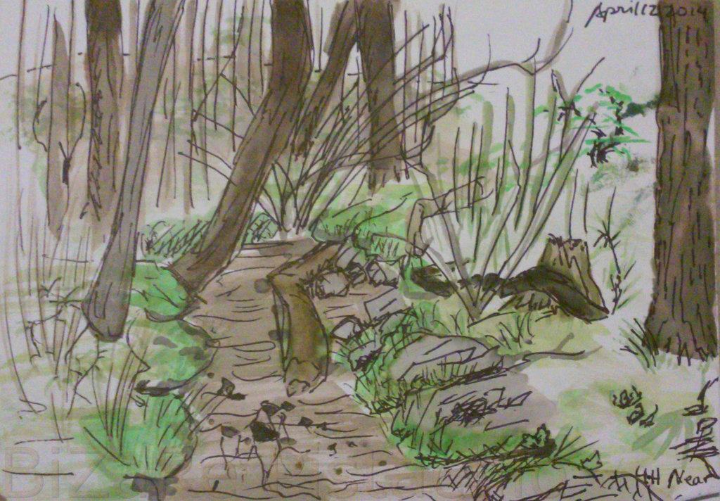 1024x712 Little Creek Sketch By Bzrpistachio - Creek Sketch