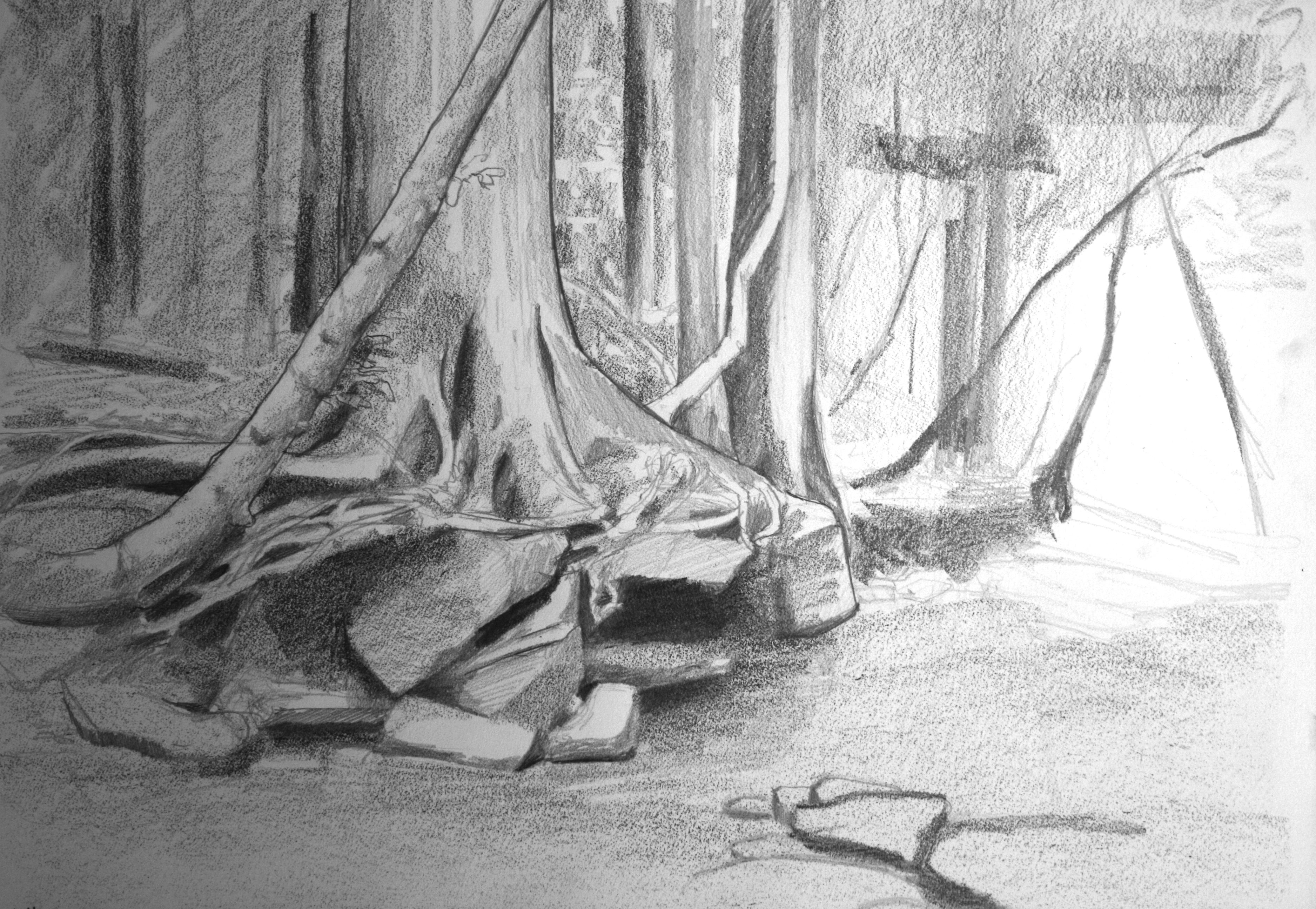 3752x2592 Roots In Creek In Process Abby Laux - Creek Sketch