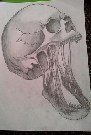 320x473 Creepy Skull Drawing - Creepy Skull Sketch