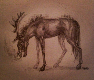 320x274 Quine Drawings On Paigeeworld. Pictures Of Quine - Creepy Skull Sketch