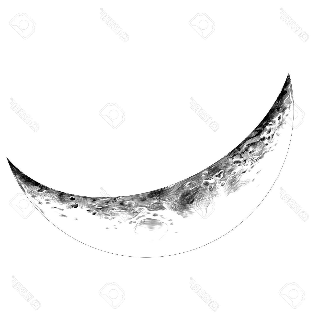 1300x1300 Top 10 Moon Crescent Sketch Vector Graphics Monochrome Drawing - Crescent Moon Sketch