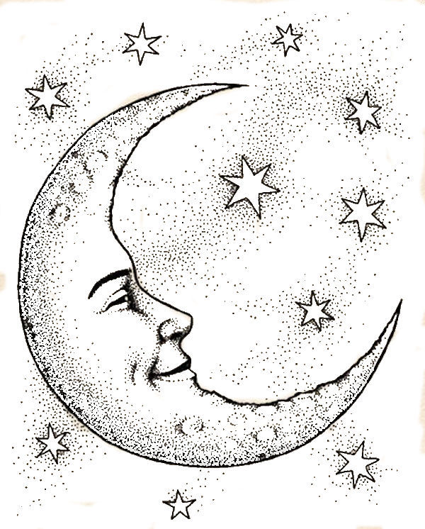 600x746 Moon Drawing Sketch Drawing Skill - Crescent Sketch