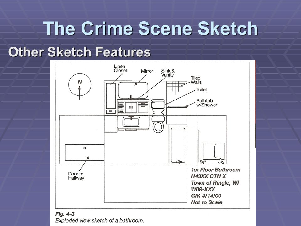 Crime Scene Sketch at PaintingValley.com | Explore collection of Crime ...