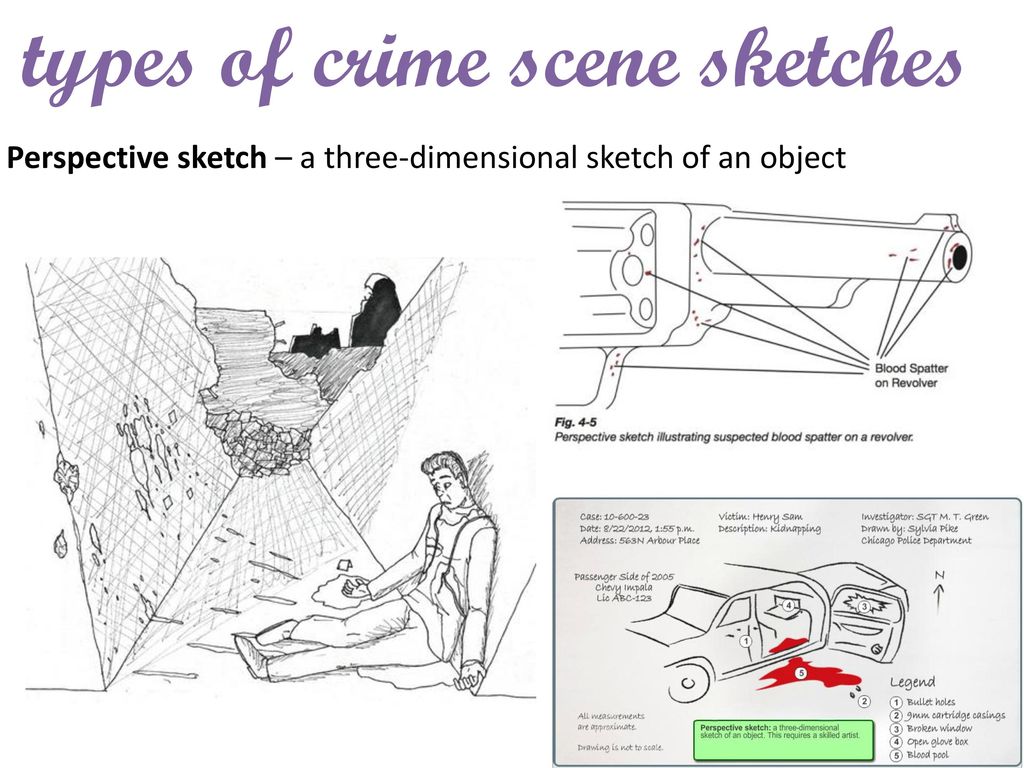Crime Scene Sketch Examples at Explore collection