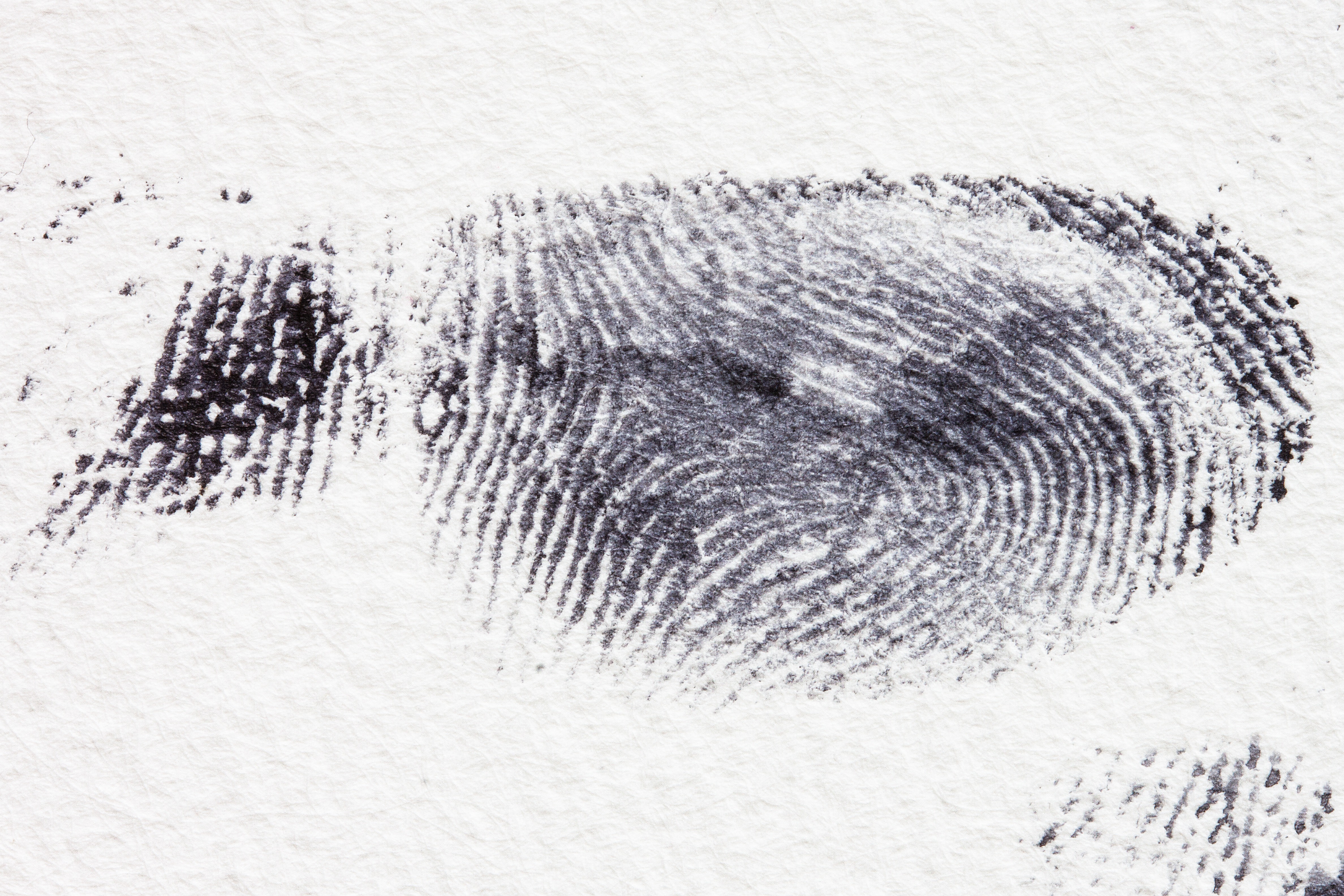 4752x3168 Free Images Wing, Black And White, Security, Ink, Close Up - Crime Sketch