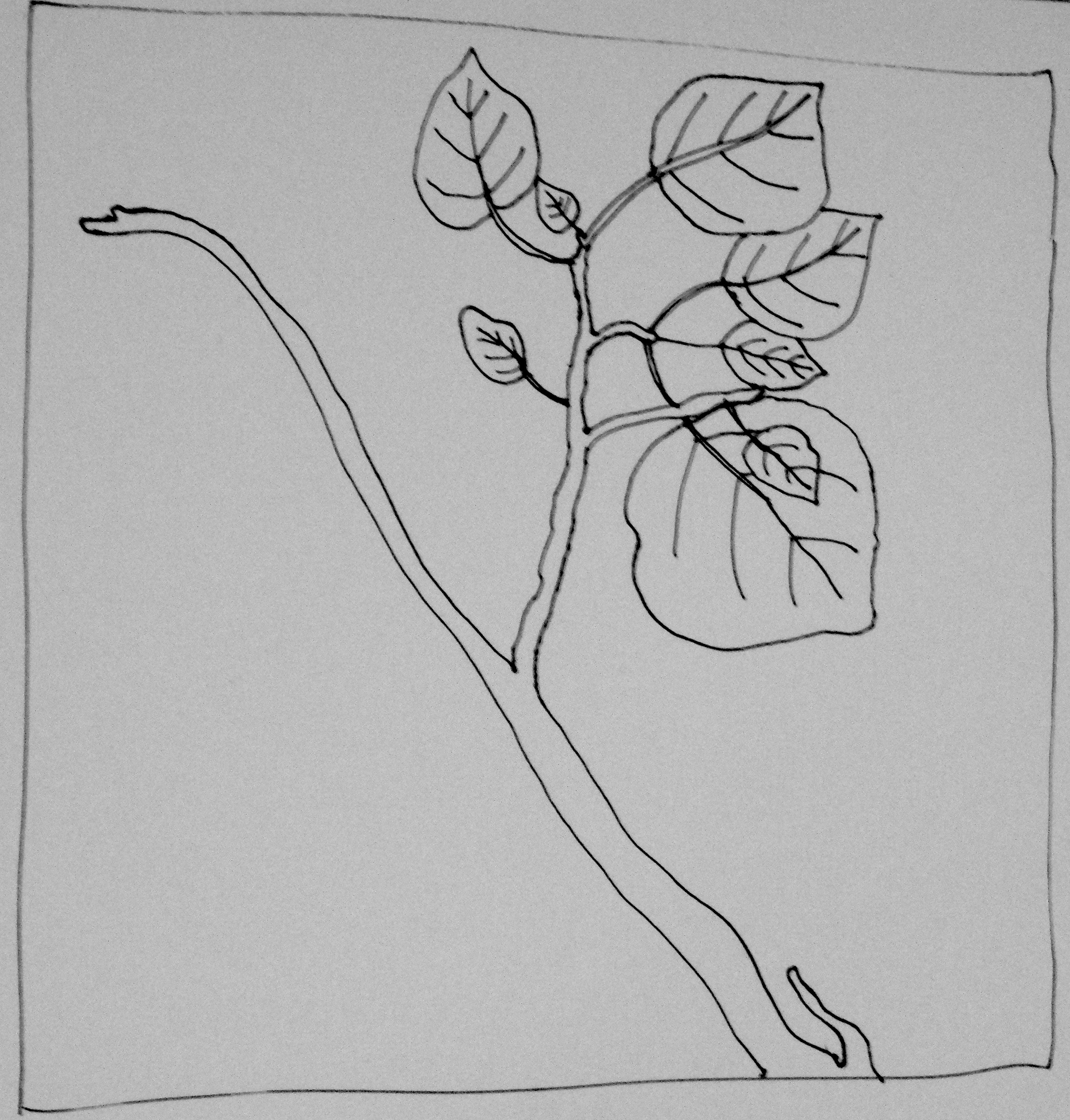 3071x3216 Nature Crochet Challenge Artful Explorations In Nature - Crochet Sketch