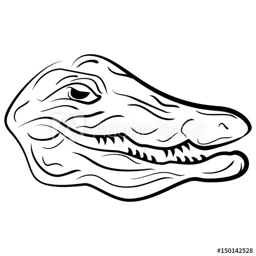 500x500 Head Of A Crocodile, Crocodile Sketch Illustration - Crocodile Sketch