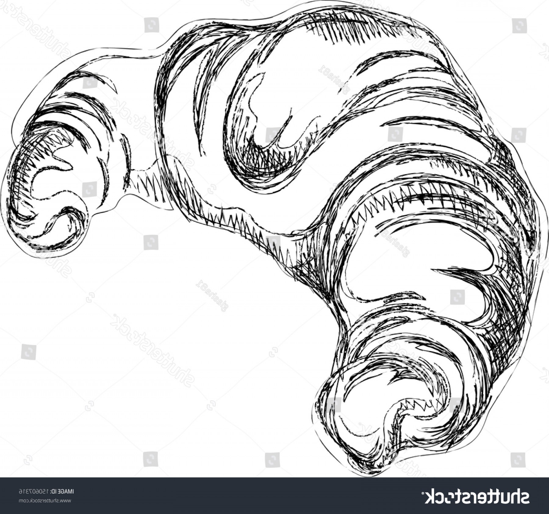 1800x1684 Croissant Vector Sketch Handmade Drawing Arenawp - Croissant Sketch
