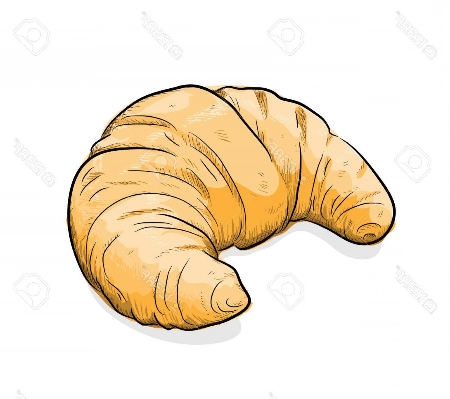 1560x1382 Photostock Vector Croissant A Hand Drawn Vector Illustration Of A - Croissant Sketch