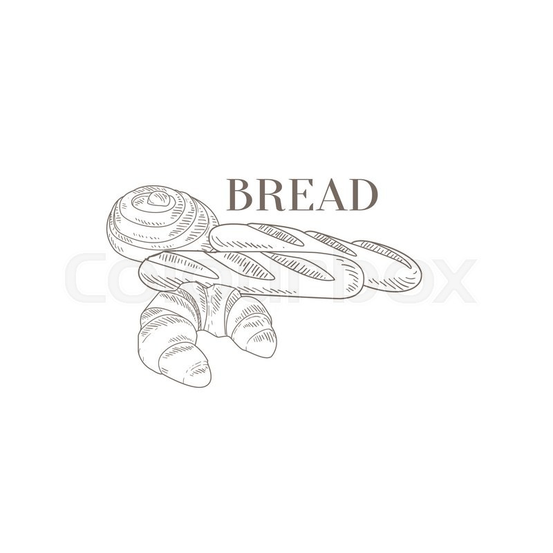 800x800 Baguette, Croissant And Swirl Hand Drawn Realistic Detailed Sketch - Croissant Sketch