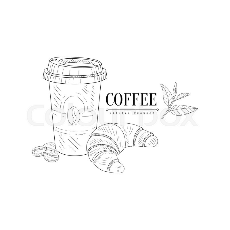 800x800 Take Away Coffee And Croissant Hand Drawn Realistic Detailed - Croissant Sketch