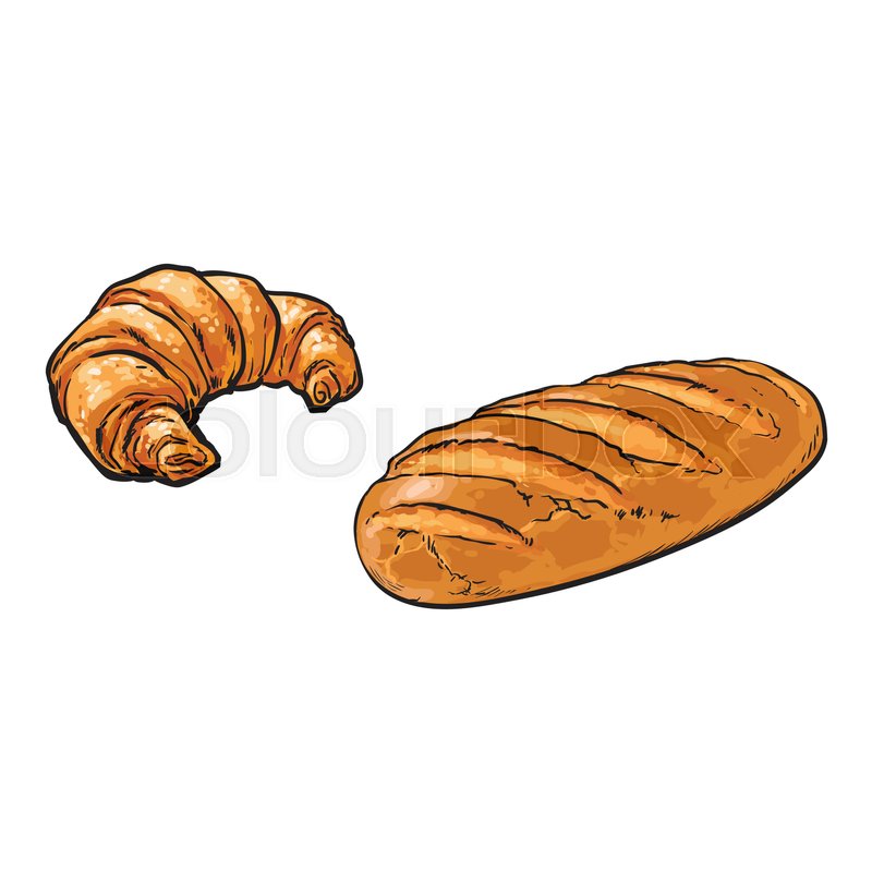 800x800 Vector Sketch Fresh White Loaf Bread, Croissant Set . Detailed - Croissant Sketch