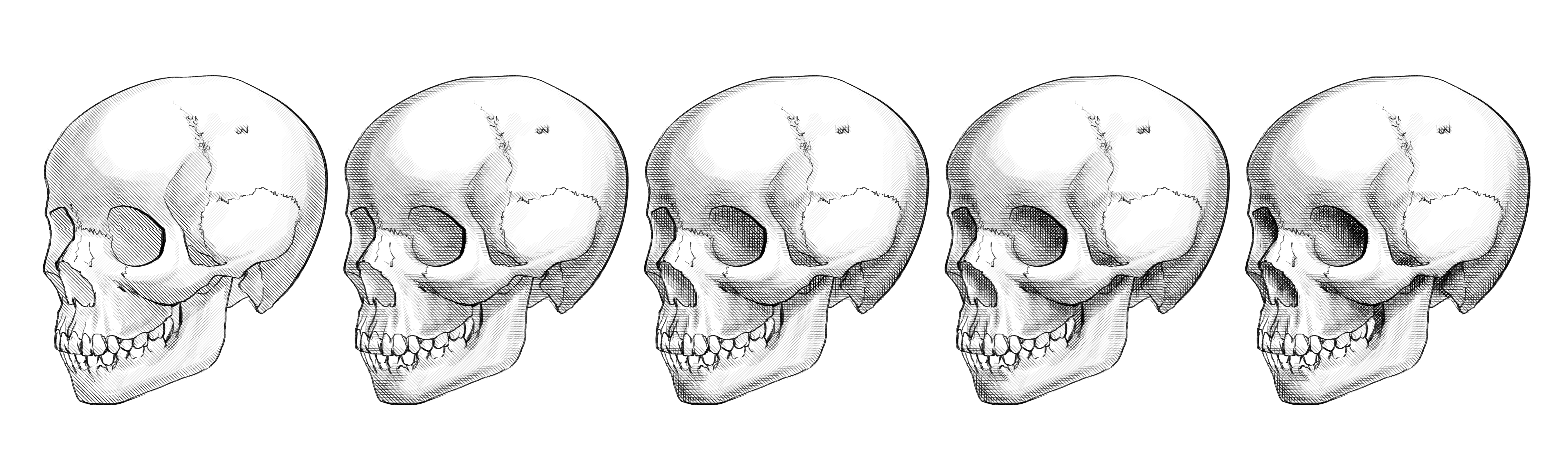 7143x2122 Crosshatching The Technique And A Free Brush Set For Mastering It - Crosshatch Sketch