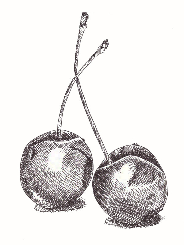 600x800 Guide To Shading Techniques Hatching, Cross Hatching, Scribbling - Crosshatch Sketch