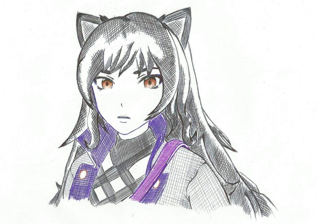 1024x726 The Black Cat Of The White Fang - Crosshatch Sketch