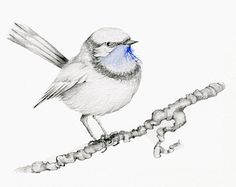 236x187 Pencil Sketch Of Crow - Crow Pencil Sketch