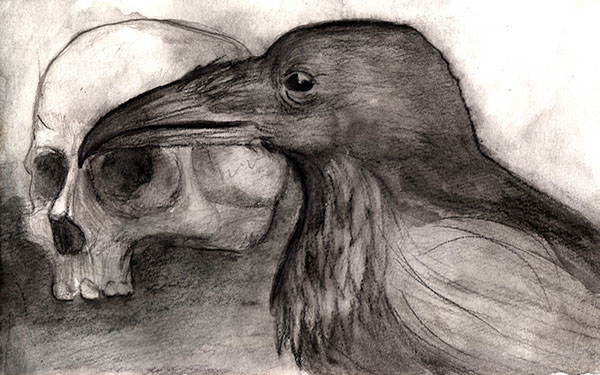 600x375 Crow Sketch On Behance - Crow Sketch