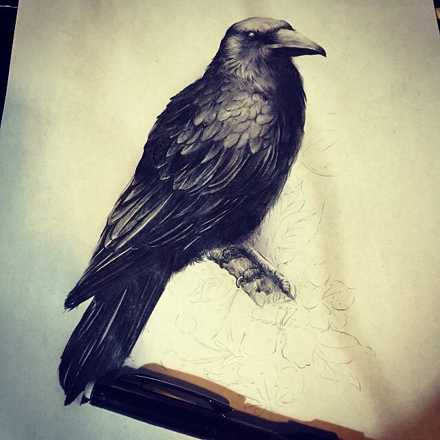 640x640 Crow Sketch Golden Iron Tattoo Studio Downtown Toronto - Crow Sketch Images