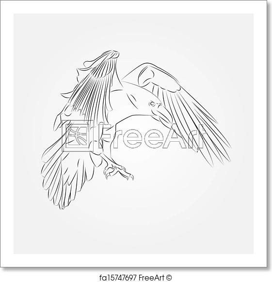 561x581 Free Art Print Of Sketch Of Crow In Vector. Sketch Of Crow In - Crow Sketch Images