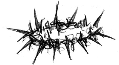 398x216 Crown Of Thorns Clip Art Clipart Panda - Crown Of Thorns Sketch