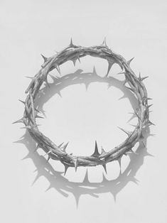 235x314 317 Best Crown Of Thorns Images In 2018 Faith - Crown Of Thorns Sketch