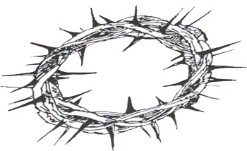 350x214 Sustainable Governance As A Toroidal Crown Of Thorns - Crown Of Thorns Sketch