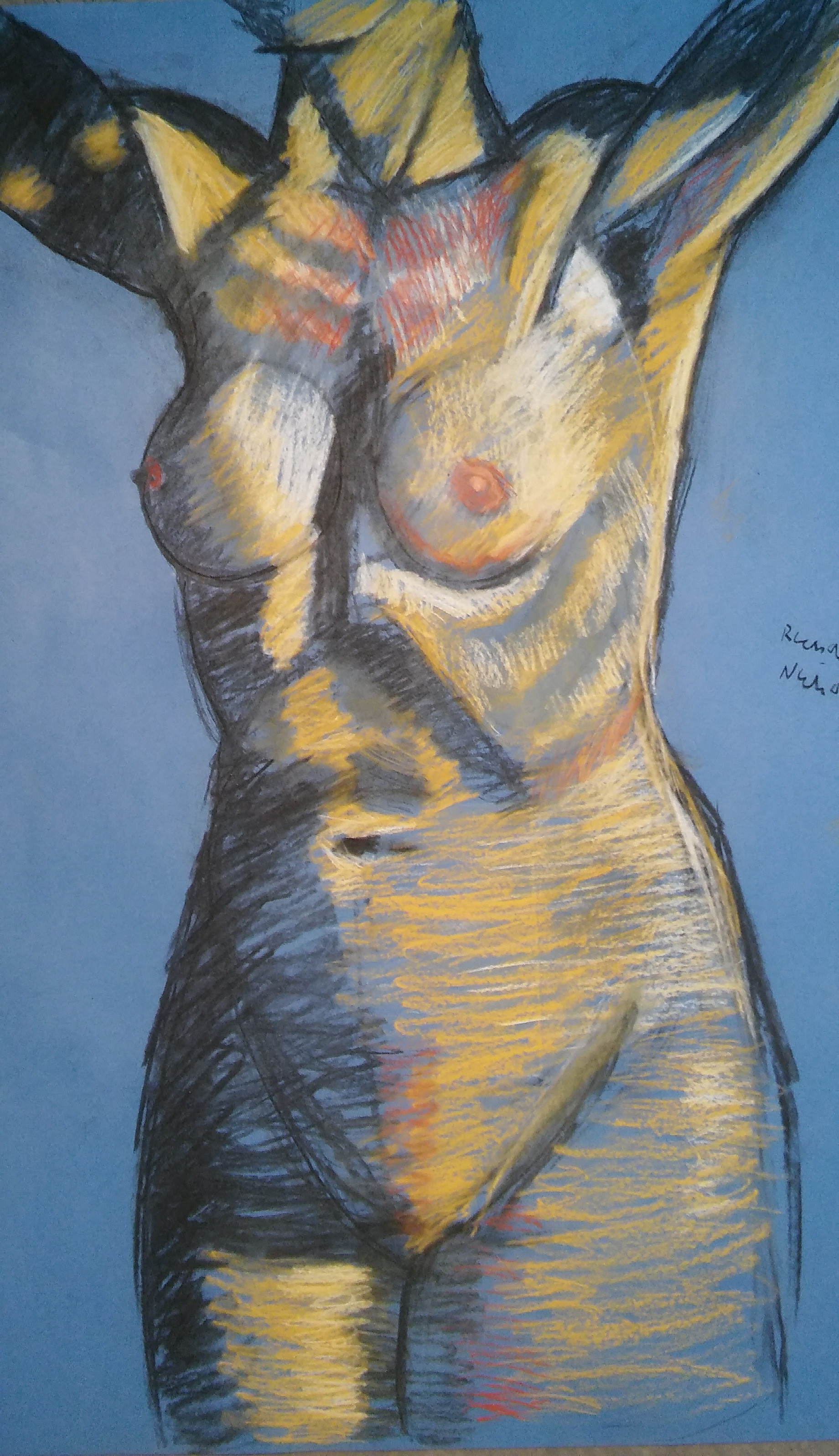 1840x3192 Richard Nicholson - Crucifiction Sketch