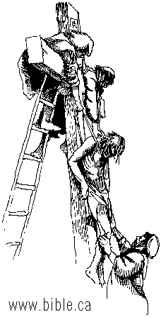 228x447 The Crucifixion Of Jesus - Crucifiction Sketch