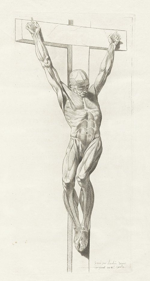 500x937 Anatomical Crucifixion Sketch Arts Anatomy, Art - Crucifixion Sketch