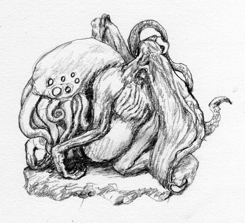 796x726 Cthulhu Sketch By Eyelessentity - Cthulhu Sketch