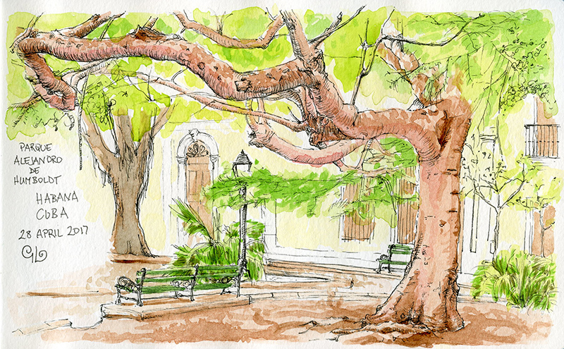 800x495 Cuba In Detail A Sketch Round Up Genevieve Lacombe - Cuba Sketch