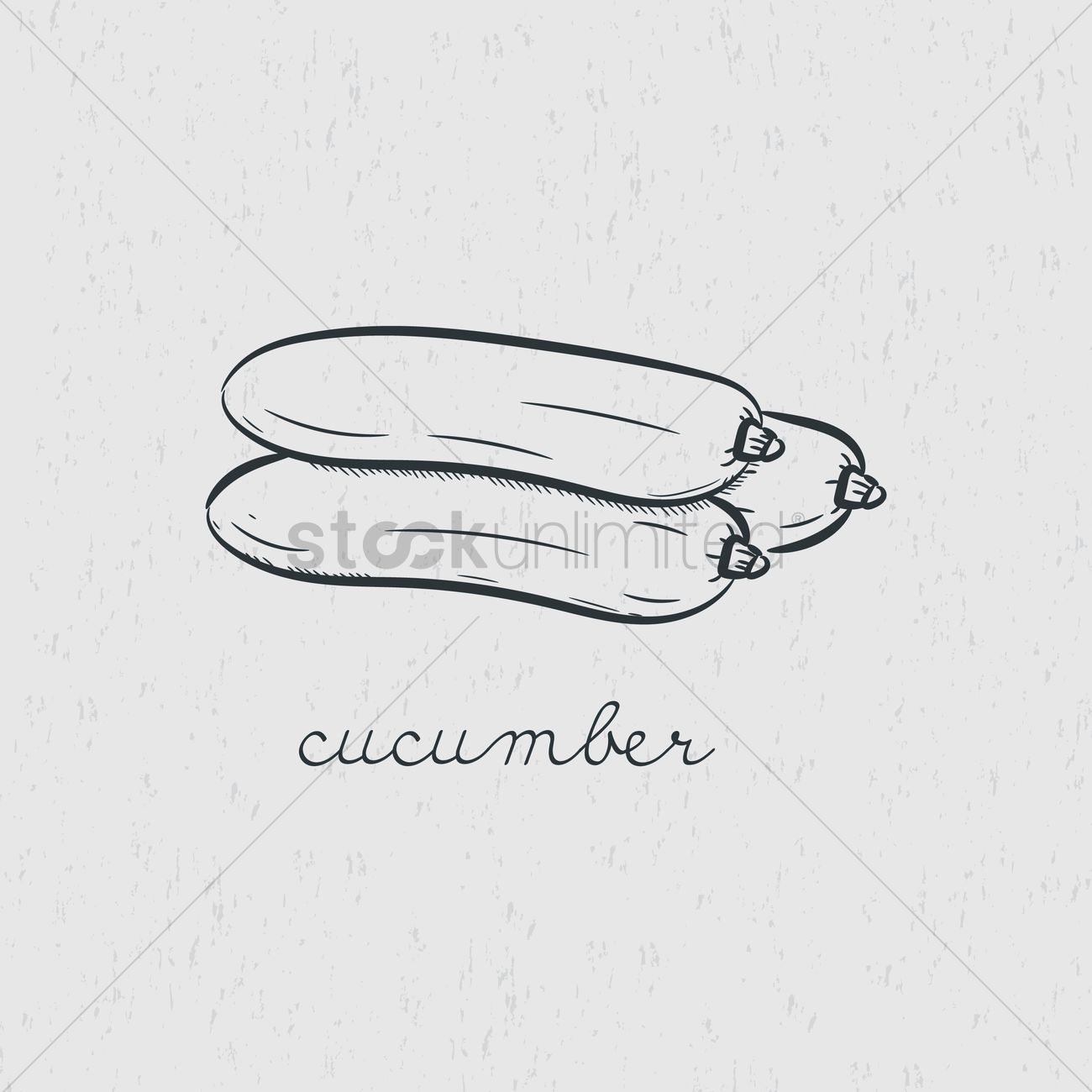 1300x1300 Cucumber Vector Image - Cucumber Sketch