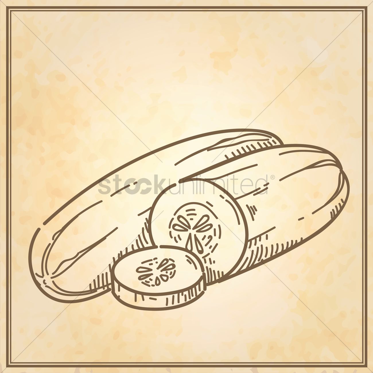 1300x1300 Cucumber Vector Image - Cucumber Sketch
