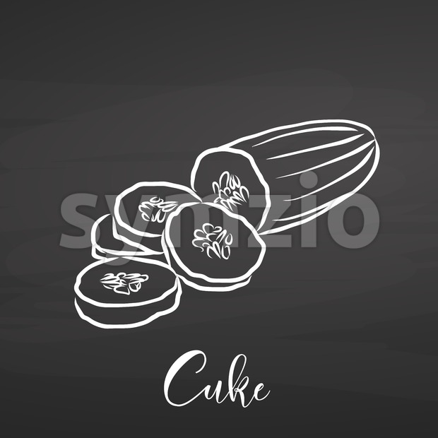 620x620 Cucumber Vegetables Drawing On Chalkboard Vector Illustration - Cucumber Sketch