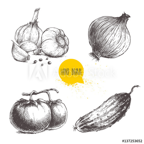 500x500 Hand Drawn Sketch Style Vegetables Set. Tomatoes, Onion, Cucumber - Cucumber Sketch
