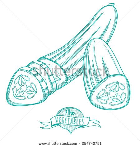 450x470 Vector Illustration Outline Hand Drawn Sketch Of Cucumber (Flat - Cucumber Sketch