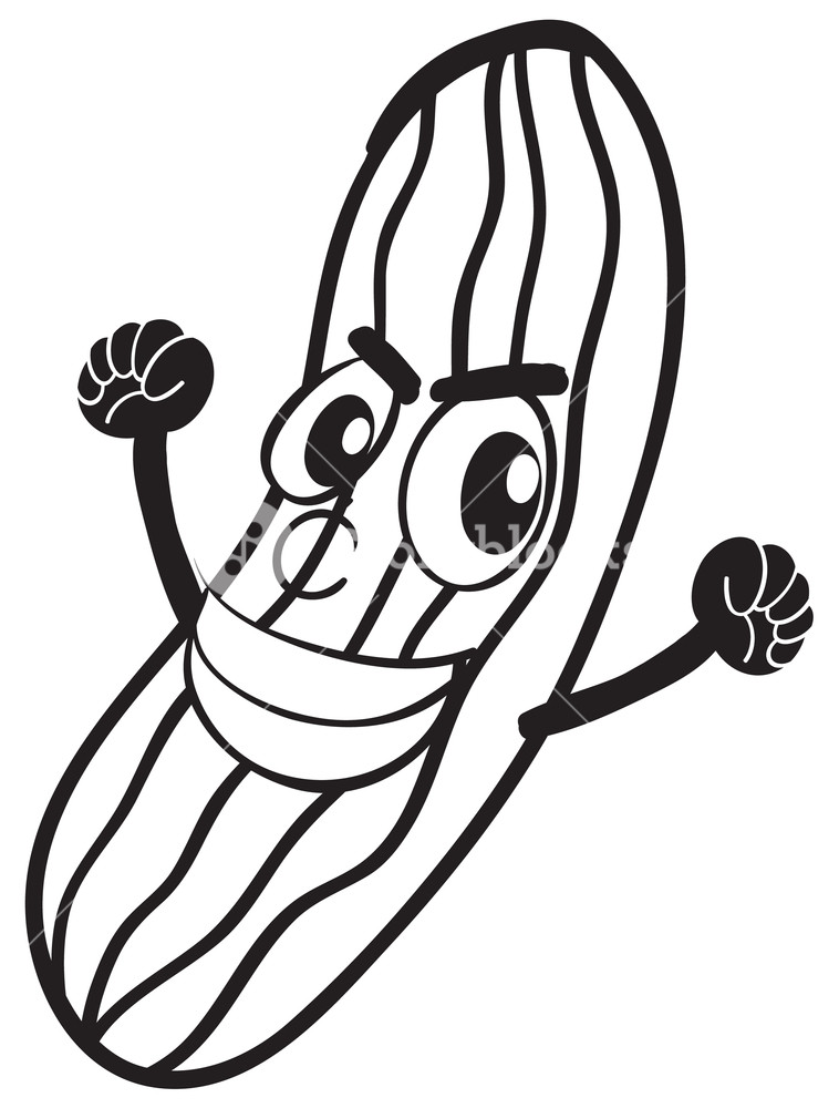 758x1000 Detailed Illustration A Cucumber Sketch On A White Background - Cucumber Sketch