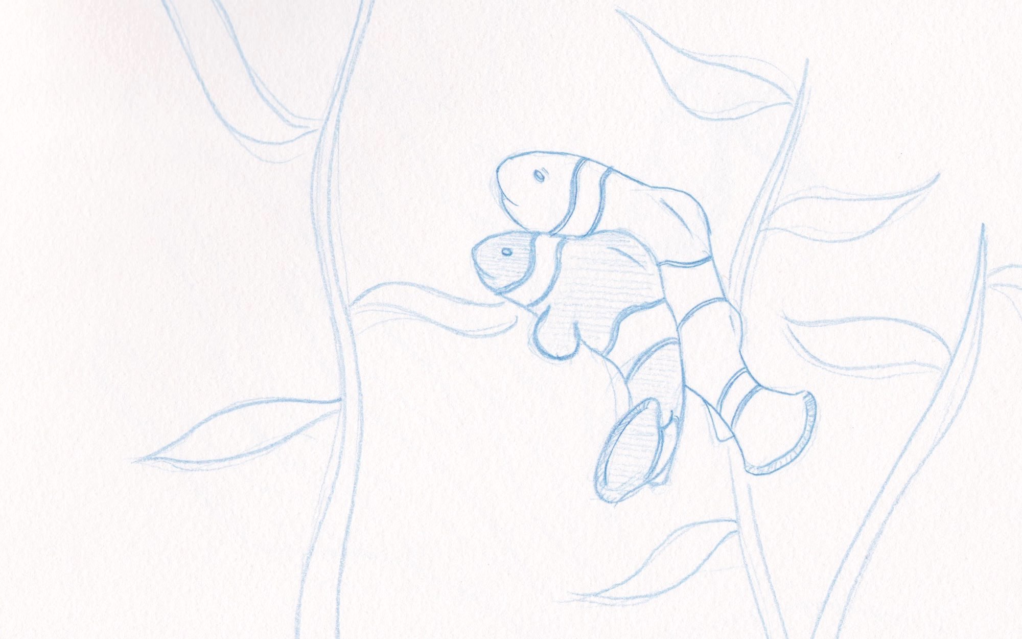 2000x1250 Cuddling Clownfish Fragments And Chaos - Cuddling Sketch