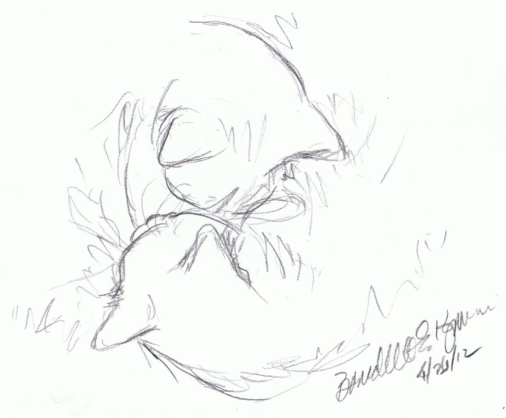 1000x827 Daily Sketch Quickly, Before They Wake ~ The Creative Cat - Cuddling Sketch
