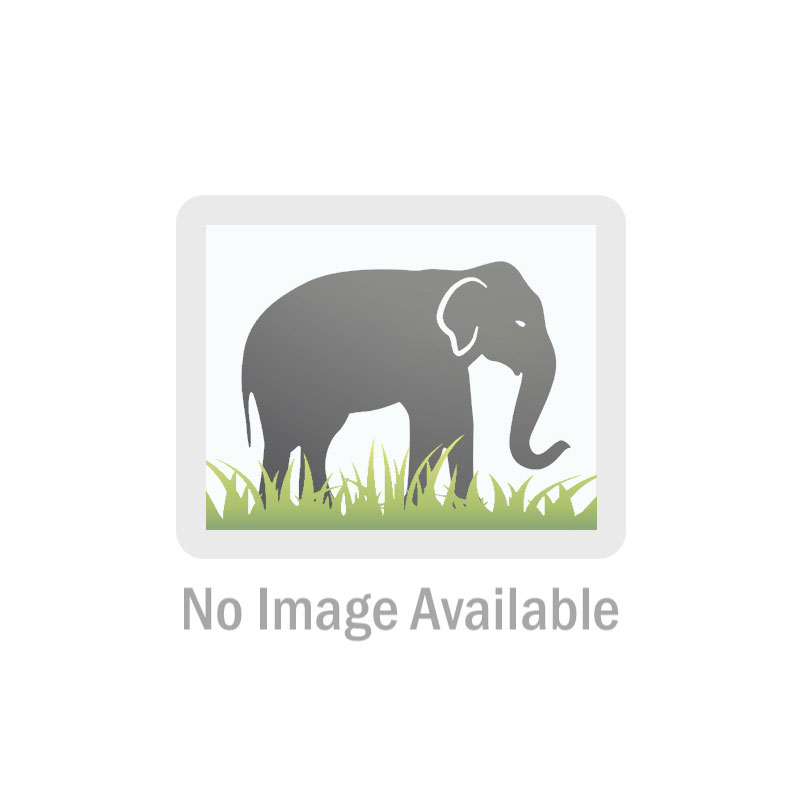 800x800 Culture Sketchescase Studies Anthro - Culture Sketches