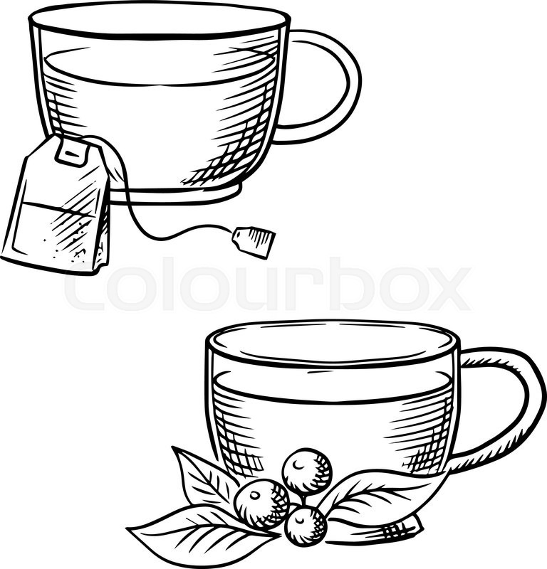 768x800 Cups Of Hot Tea With Teabag And Cowberry Branch With Fruits And - Cup Of Tea Sketch