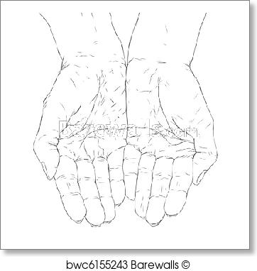 362x382 Art Print Of Cupped Hands Barewalls Posters Amp Prints Bwc6155243 - Cupped Hands Sketch