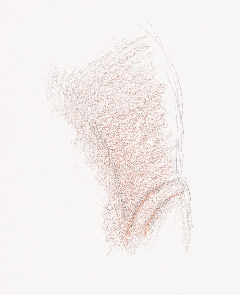 834x1024 Drawing Hair For Beginners Graphite And Colored Pencil Techniques - Curly Hair Sketch