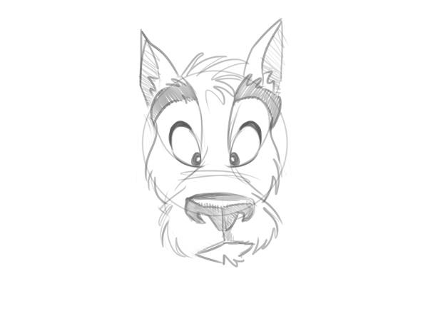 600x450 Cartoon Fundamentals The Secrets In Drawing Animals - Cute Animal Sketches