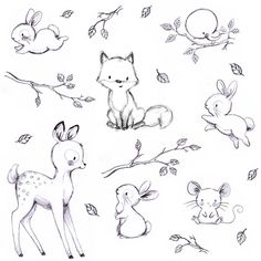 236x236 Baby Animal Illustrations - Cute Animal Sketches