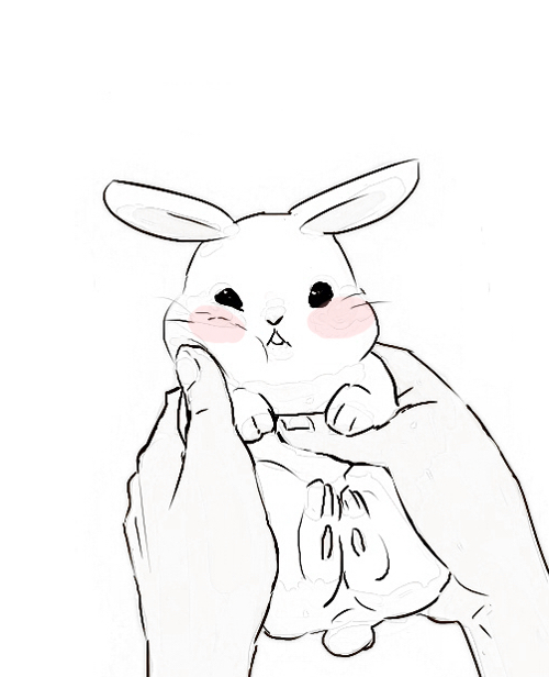 500x616 Image In Cuteness Draw Collection By On We Heart It - Cute Bunny Sketch